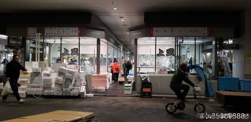 疫情寒流席卷丰洲市场 全球最大水产枢纽日均交易锐减三成的背后