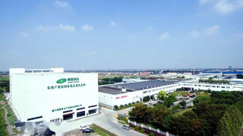 青莲食品 坚持三个“双向发力”，助推产业链答好“两战”高分卷